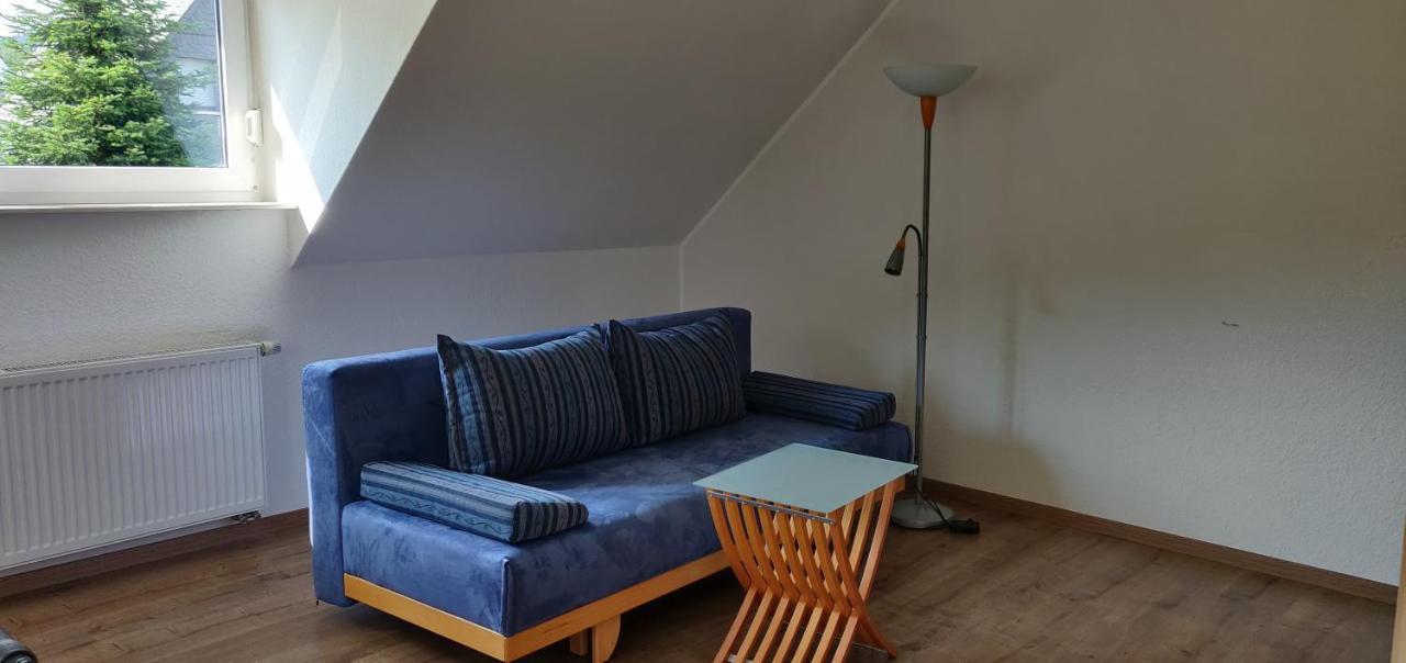 Ferienhaus Schulte - Villa Jupp Und Apartment Liesl Olsberg Eksteriør billede